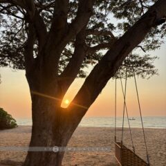 SO/ Sofitel Hua Hin::Resort